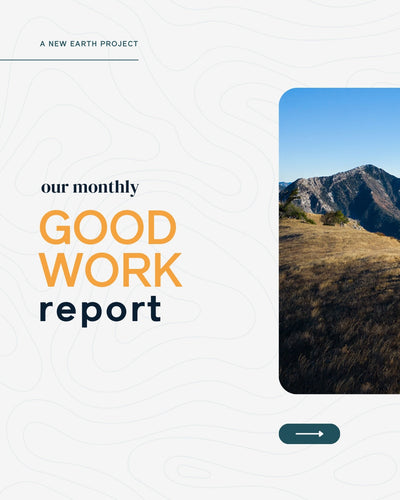 The Good Work Report | February 2025