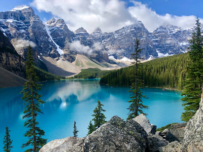 Bravo! Canada Just Declared War on Single-Use-Plastics