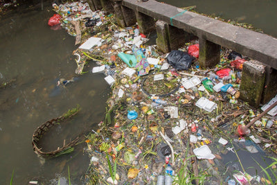 Turning Off the Plastic Tap: The Role of SB-54 and Extended Producer Responsibility