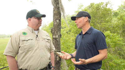 Sustainable Forestry: What Is A Working Forest?
