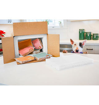 Introducing an innovative solution to sustainable cold chain shipping: Cruz Cool