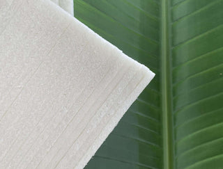 Introducing an innovative solution to sustainable packaging supplies: Cruz Foam