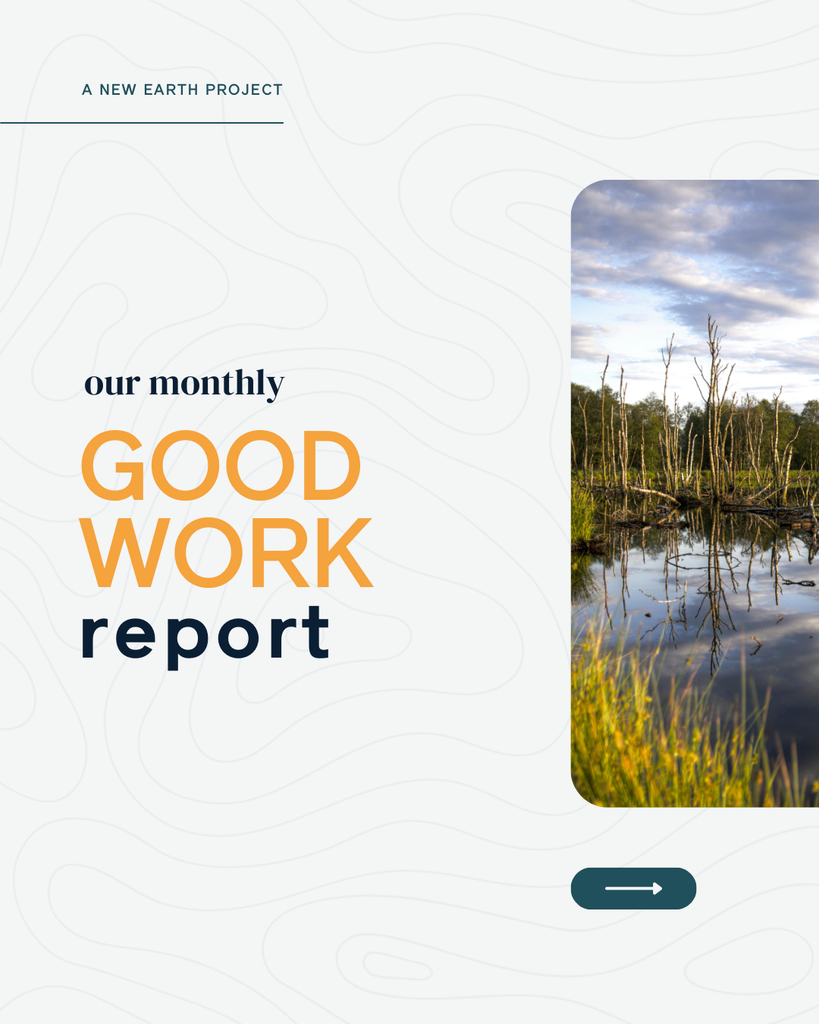 The Good Work Report | March 2025 – A New Earth Project