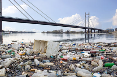 Why Support for Single Use Plastic Bans are Rising Worldwide