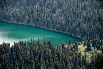 Welcome to A New Earth Project