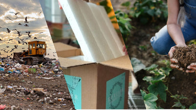 Waste-to-Value: How Smarter Policy Can Power a Cleaner, Stronger Future