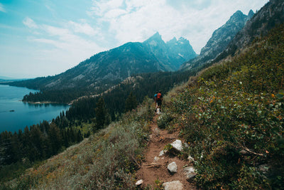 Healthy People, Healthy Planet: Reframing Our Vision of Sustainability in 2025