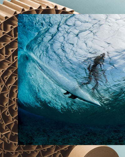 Natural Selection Tour 2025