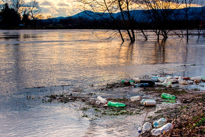 5 Gyres Report | Why Simplifying our Understanding of the Plastic Pollution Crisis is Central to Solving It