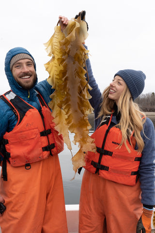 Building a Biomaterial Future Together